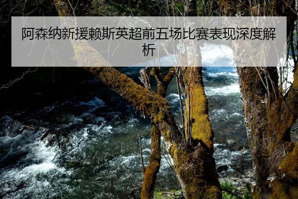 阿森纳新援赖斯英超前五场比赛表现深度解析